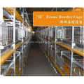 Broiler cage system for poultry farm equipment